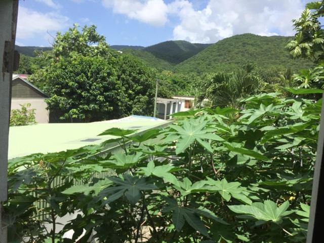 Habitation Baliache - Maison Creole Avec Jardin Privatif, Plage A 200M Deshaies Eksteriør bilde