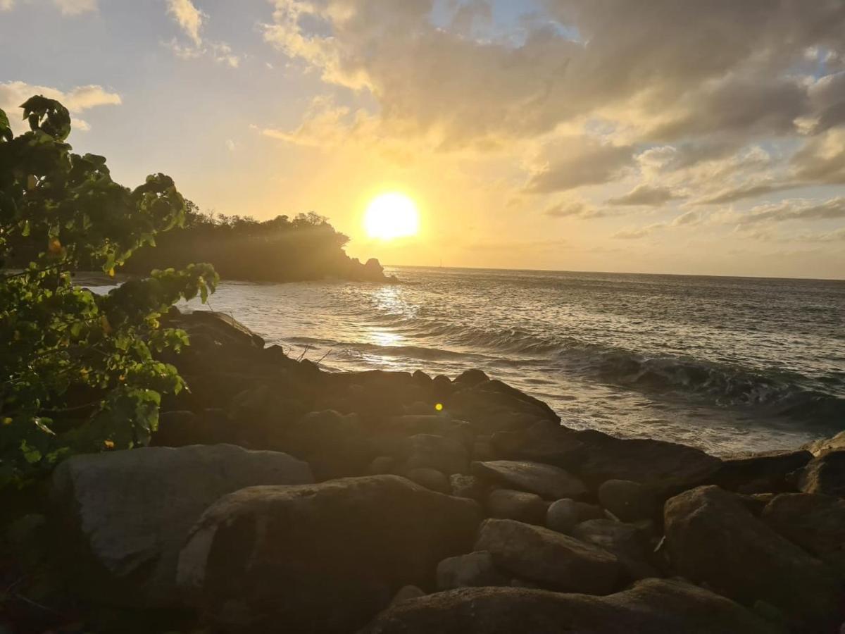 Habitation Baliache - Maison Creole Avec Jardin Privatif, Plage A 200M Deshaies Eksteriør bilde