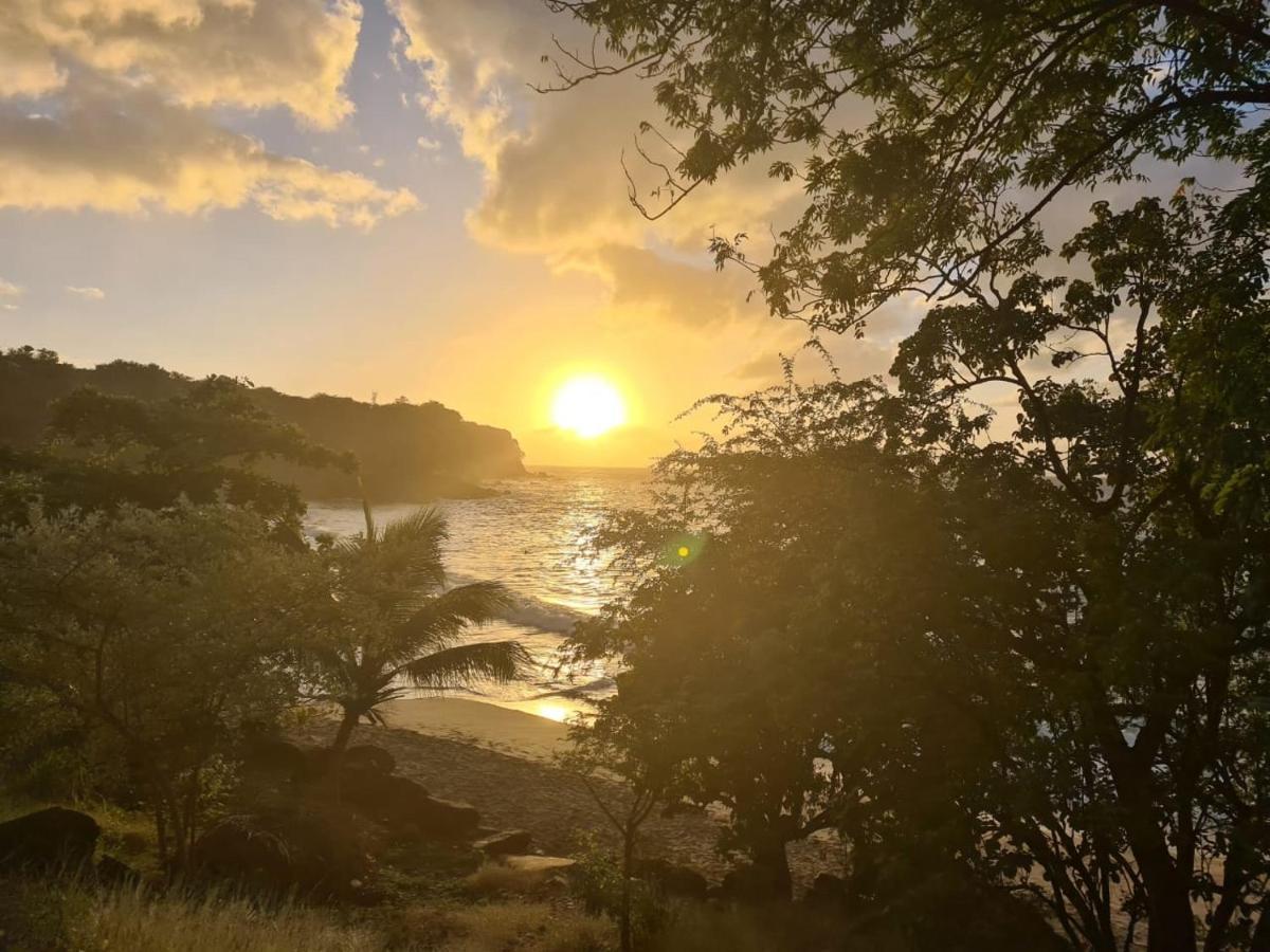 Habitation Baliache - Maison Creole Avec Jardin Privatif, Plage A 200M Deshaies Eksteriør bilde
